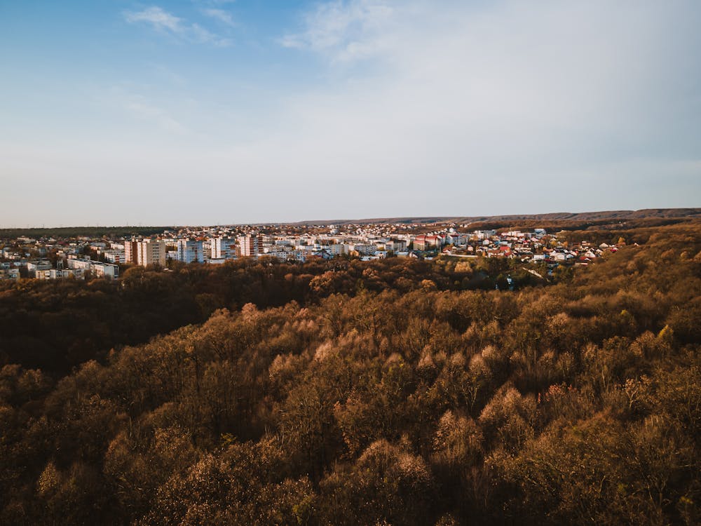 Immagine gratuita di autum, dji, drone volante