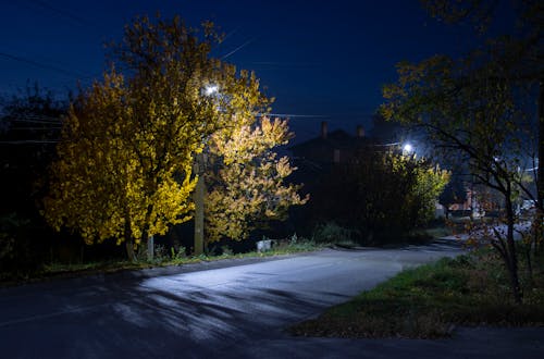 Free Concrete Road with Trees During Night Time Stock Photo