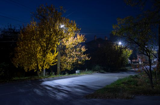 Concrete Road with Trees During Night Time