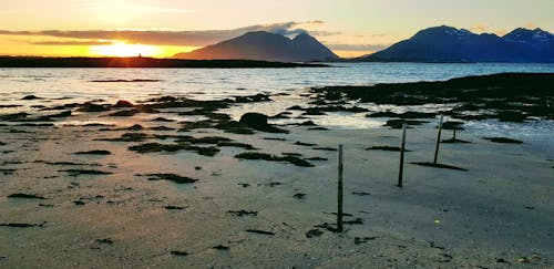 Gratis lagerfoto af bjerg, Fjord, solar