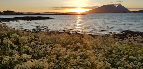 Gratis lagerfoto af bjerg, Fjord, Norge