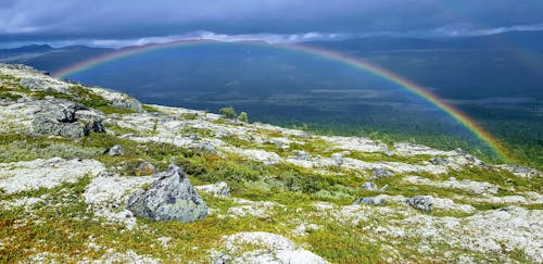 Gratis lagerfoto af bjerg, efterår, grøn