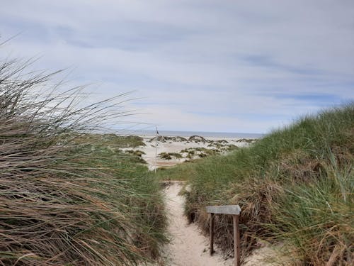 Základová fotografie zdarma na téma duna, krajina, nezpevněná cesta