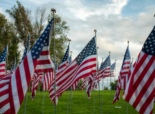 Kostenloses Stock Foto zu amerikanische flaggen, fahnenmasten, grasfläche