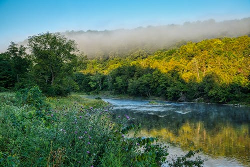 Безкоштовне стокове фото на тему «блакитне небо, водойма, вродлива»