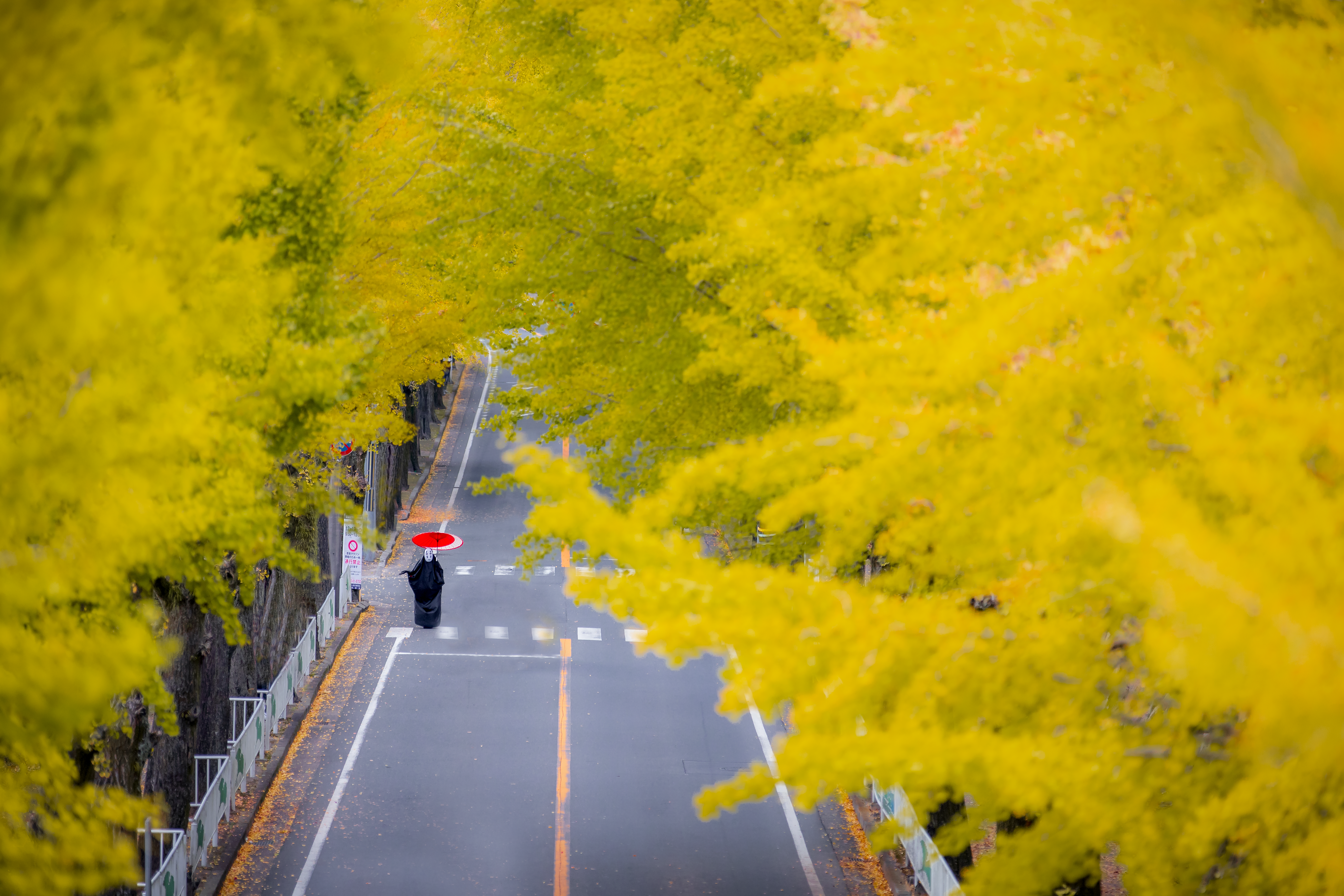 a lone pedestrian walking on a quiet Kyoto street, autumn leaves on trees