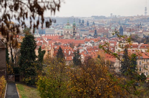 無料 シティ, タウン, チェコの無料の写真素材 写真素材