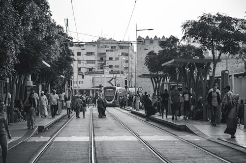 Grayscale Photography of People Walking on Street