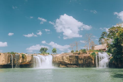 Imagine de stoc gratuită din apă curgătoare, arbori, cascade