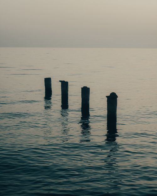Free Calm sea with wooden pilings at dawn, offering a tranquil seascape view. Stock Photo