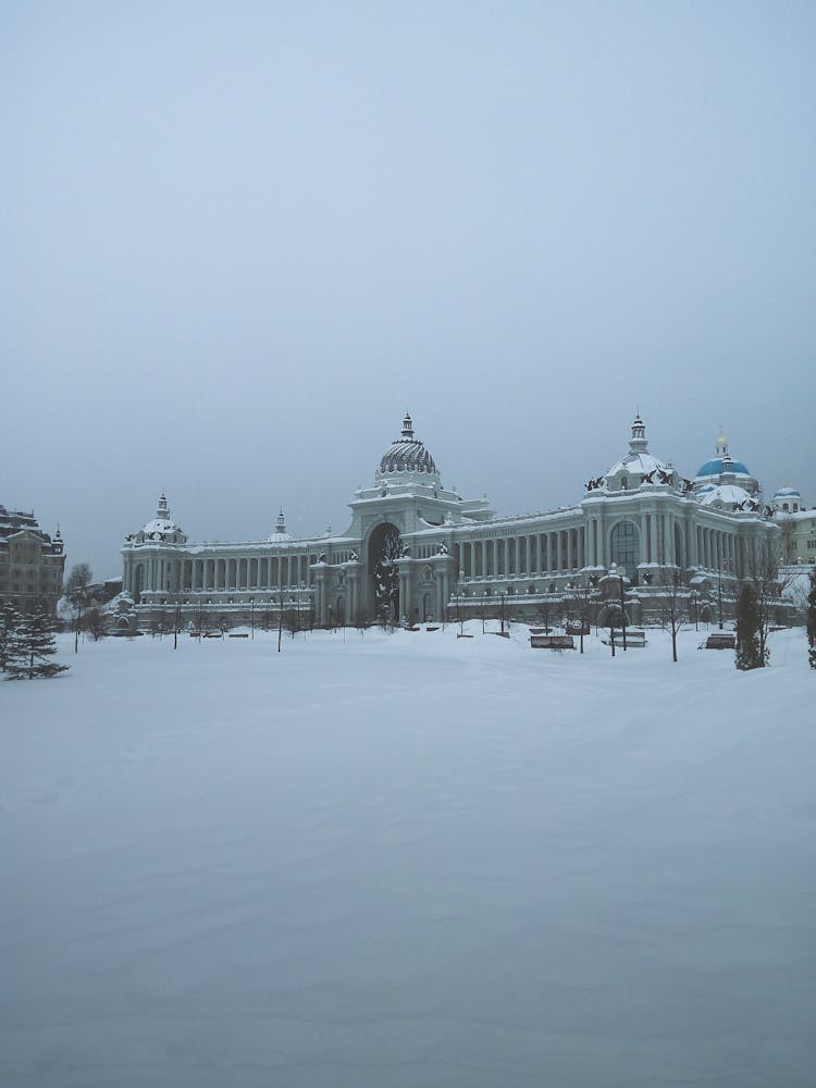 Palace In Winter