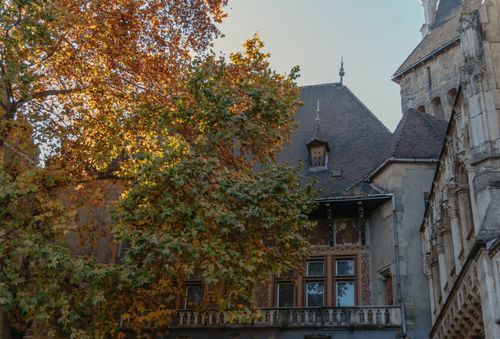 Free Gothic-style building surrounded by autumn trees with vibrant fall leaves Stock Photo
