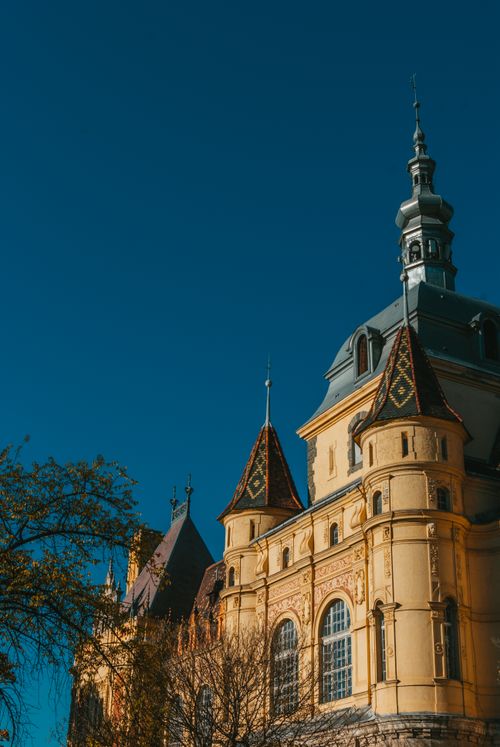 Free Stunning view of Vajdahunyad Castle's intricate architecture against a clear blue sky in Budapest. Stock Photo