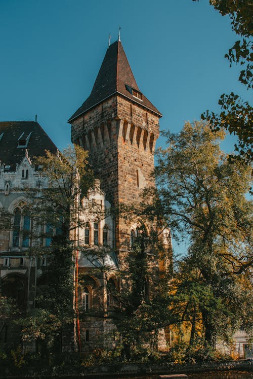 고딕 양식의 건축물, 랜드마크, 부다페스트의 무료 스톡 사진