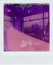 Blurred Picture of Room in Purple Colors