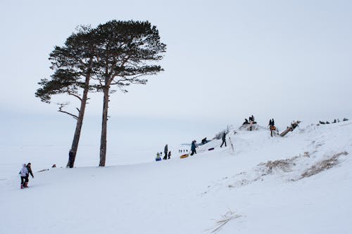 People Walking on Snow Covered Mountain 