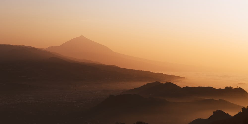 Gạo lứt nâu cỏ may