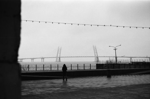 Person Looking at Bridge