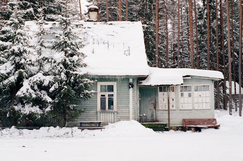 免费 冬季, 房屋, 森林 的 免费素材图片 素材图片