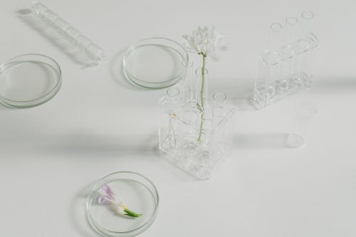 Flowers in Glass Laboratory Equipment