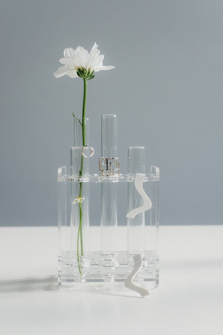 Flower In Glass Test Tube