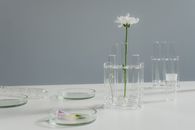 Free stock photo of art, beautiful, biology