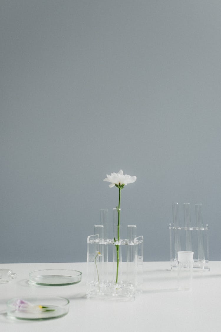 A Flower On A Test Tube