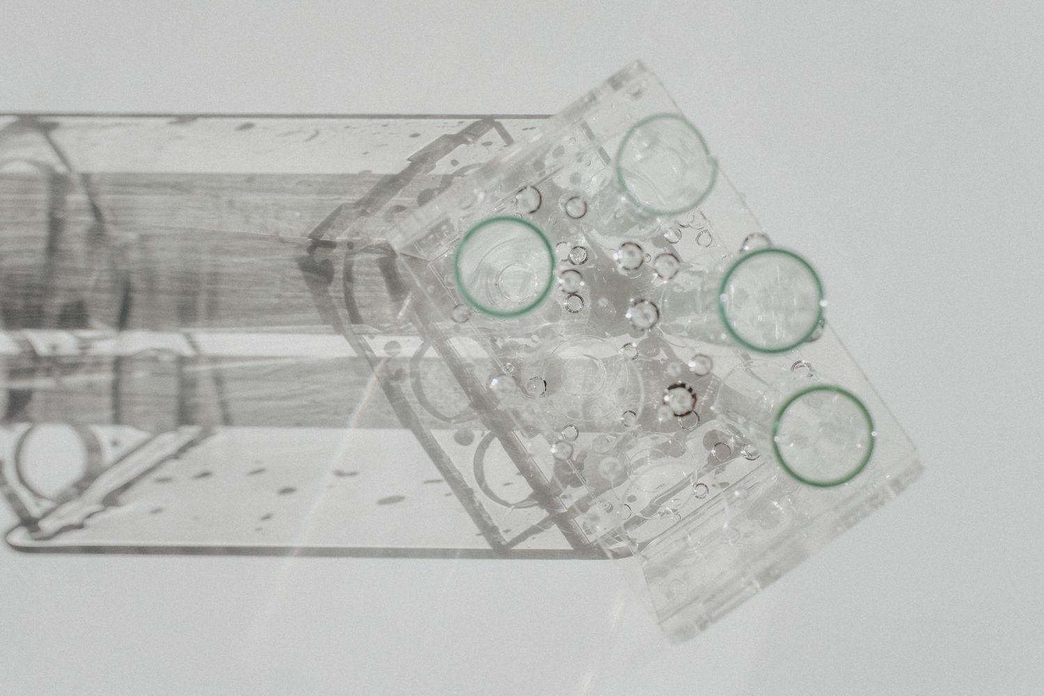 5.000+ melhores imagens de Transparente · Download 100% grátis · Fotos ...