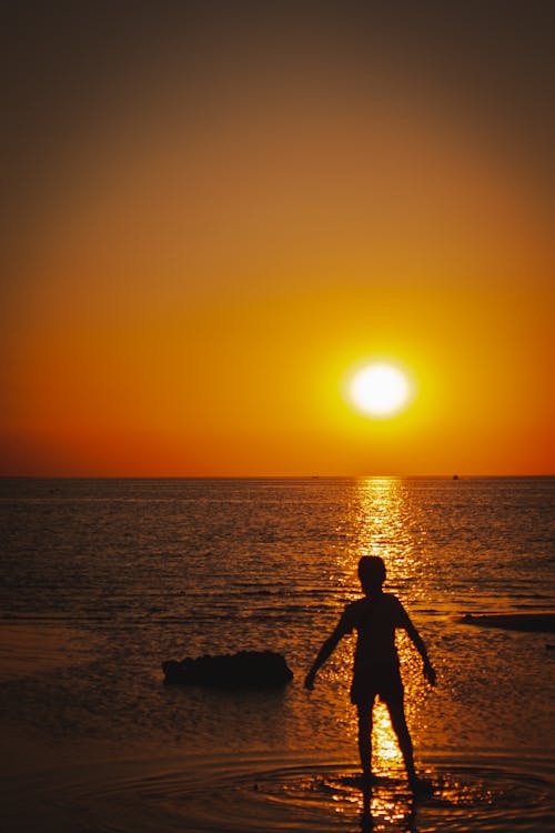 Silhouette of a Person Standing on the Beach
