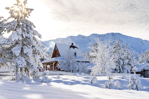 Foto d'estoc gratuïta de cabana de fusta, casa, cobert de neu