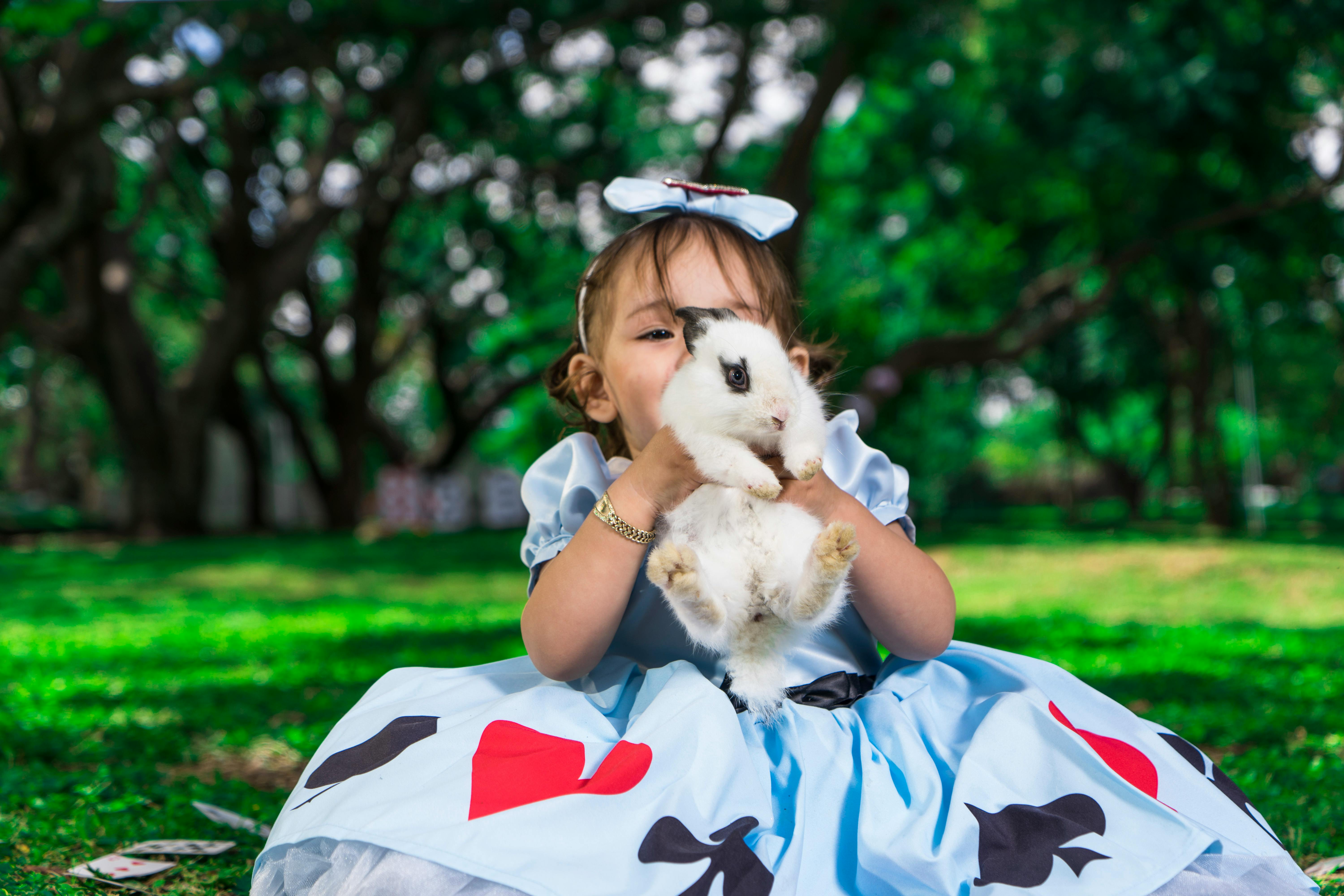 자동차보험료 비교 이미지