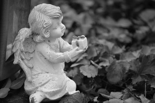 Plants and Angel Statuette on Grave