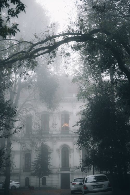 Fog Covering a Building 