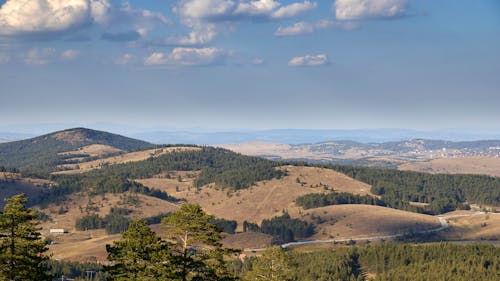 An Aerial Shot of a Field under a Clear Sky