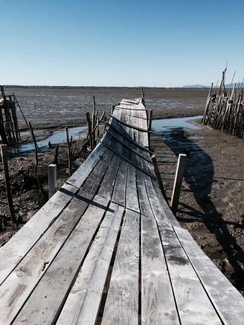 Visit the Great Bay Discovery Center things to do in exeter nh