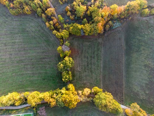 Free An Aerial Shot of an Agricultural Field Stock Photo