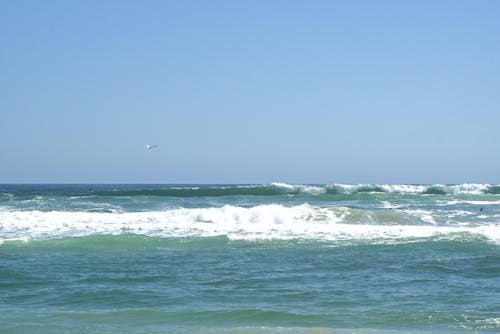 Immagine gratuita di acqua, acqua azzurra, giorno soleggiato