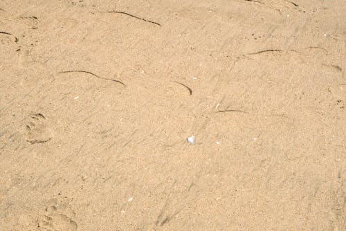 Free stock photo of beach sand, blue sea, blue water