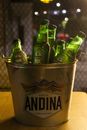 A Bucket of Beer