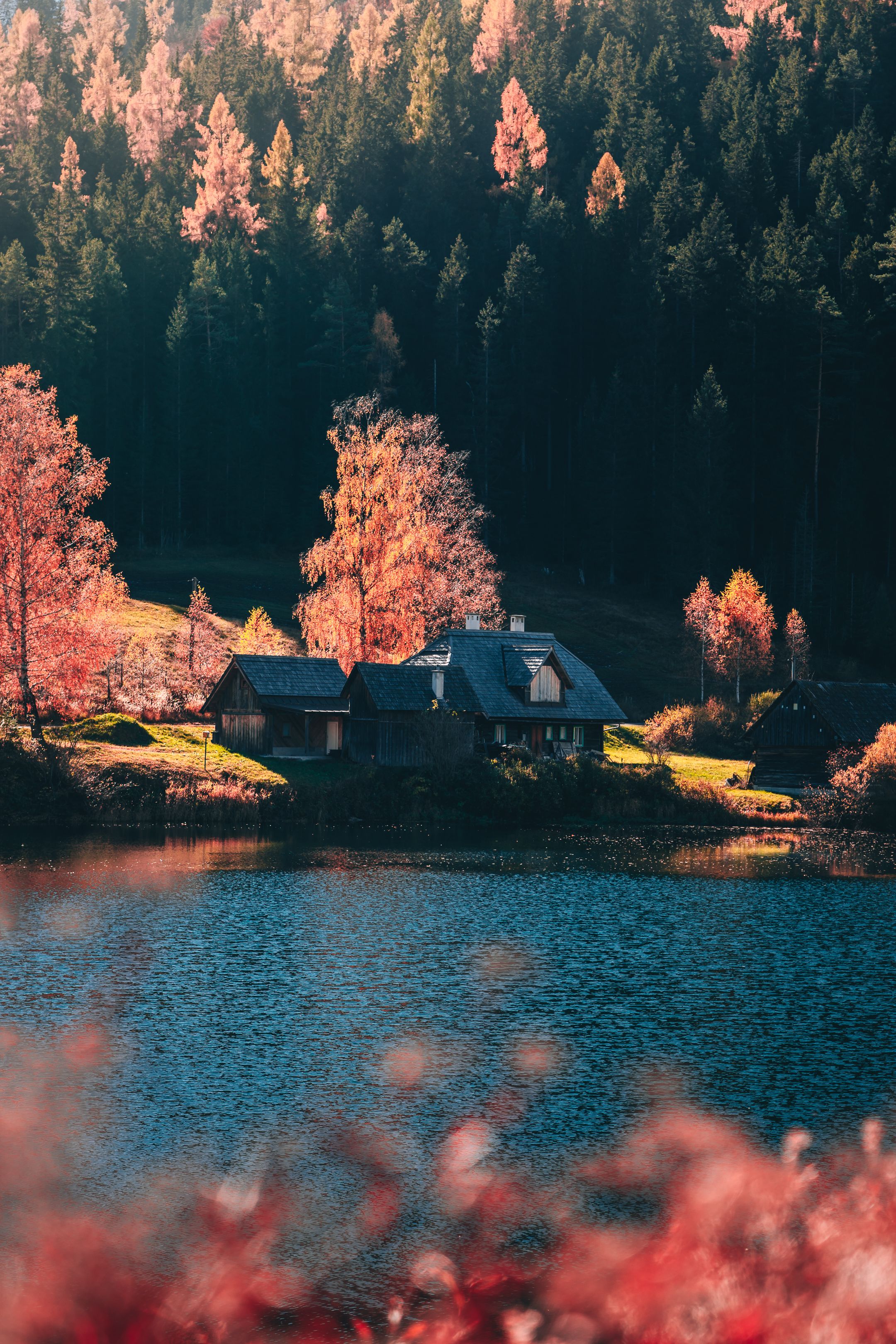 Brown Wooden House Near the Creek With a Bridge · Free Stock Photo