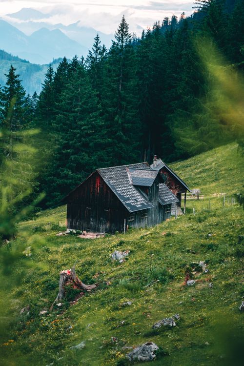 Free Charming wooden cottage nestled in a verdant forest with mountain views, perfect retreat in nature. Stock Photo