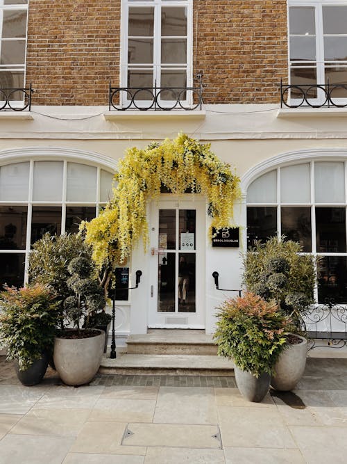 Yellow Flowers in White Concrete Building