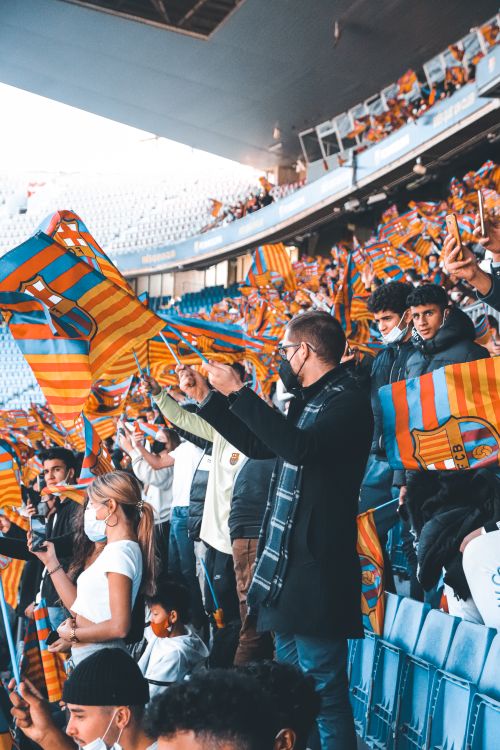 Free Football fans passionately wave flags in a vibrant stadium, embracing team spirit. Stock Photo