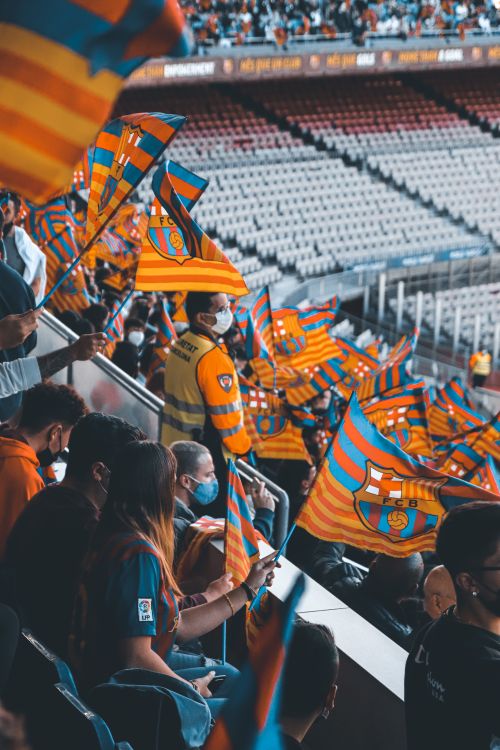 Free Excited football fans wave flags in a packed stadium, creating a lively atmosphere. Stock Photo