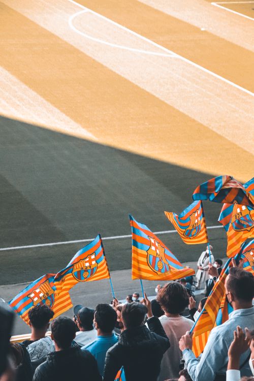 Free Football fans cheer and wave vibrant blue and orange flags in a stadium during a daytime match. Stock Photo
