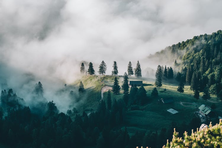 Mist Rolling Through Hills