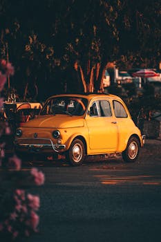 A classic yellow car sits parked on a street, framed by trees during a warm sunset.
