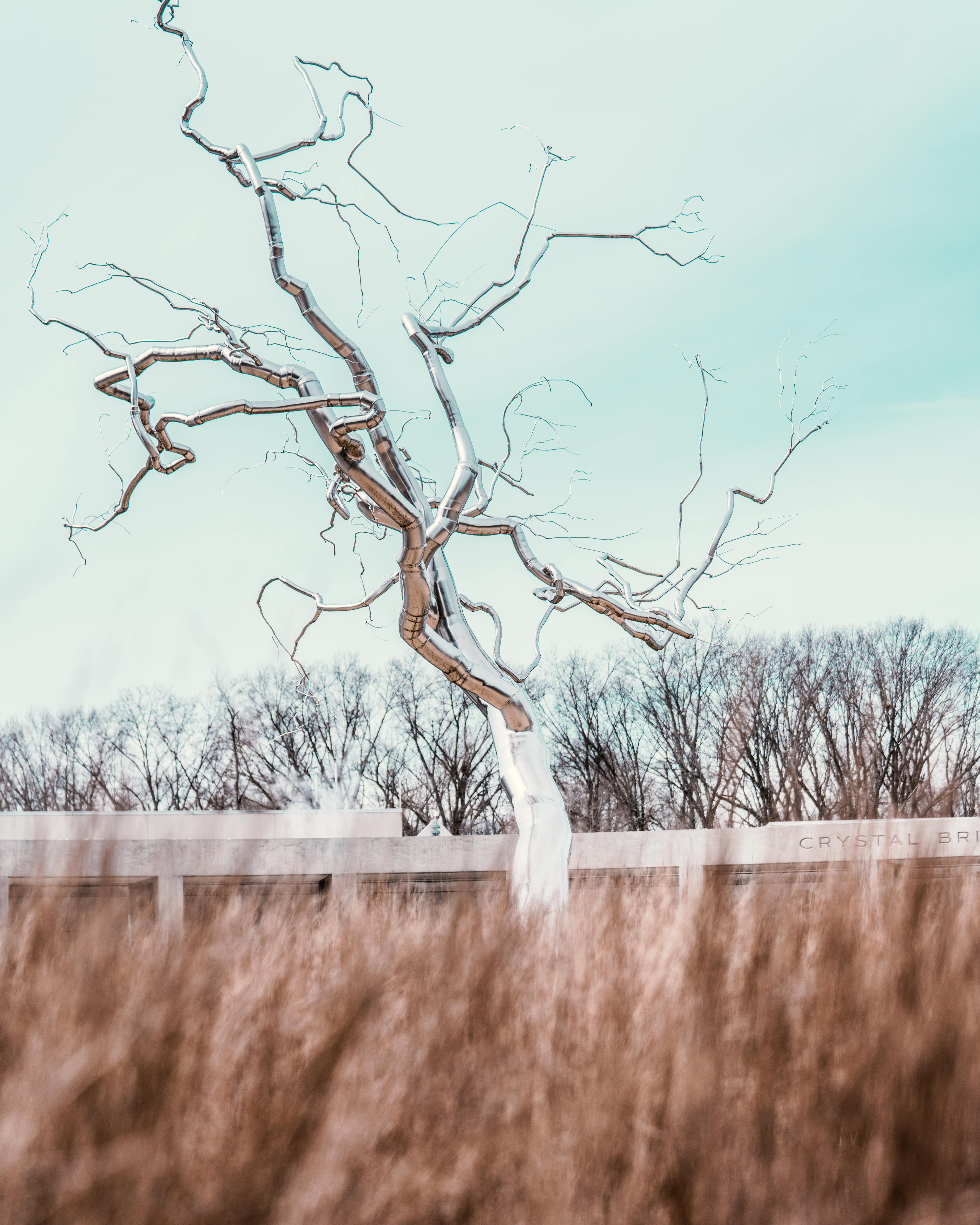 一棵无叶的树映衬着苍白的天空，前景的干草捕捉到了季节之美