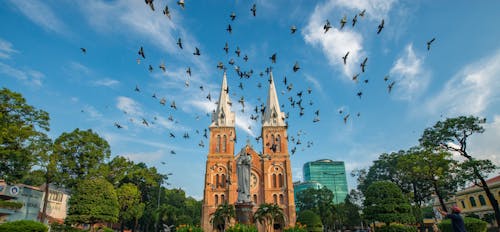 Flock of Birds flying near Notre Dame Cathedral of Saigon