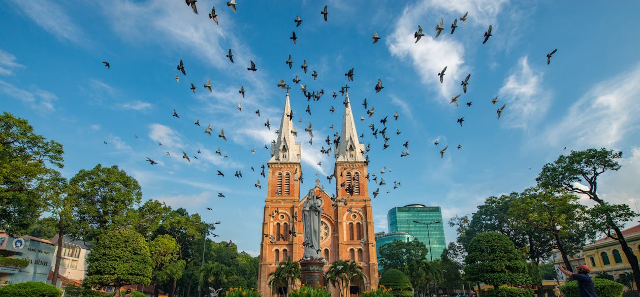 Flock of Birds flying near Notre Dame Cathedral of Saigon